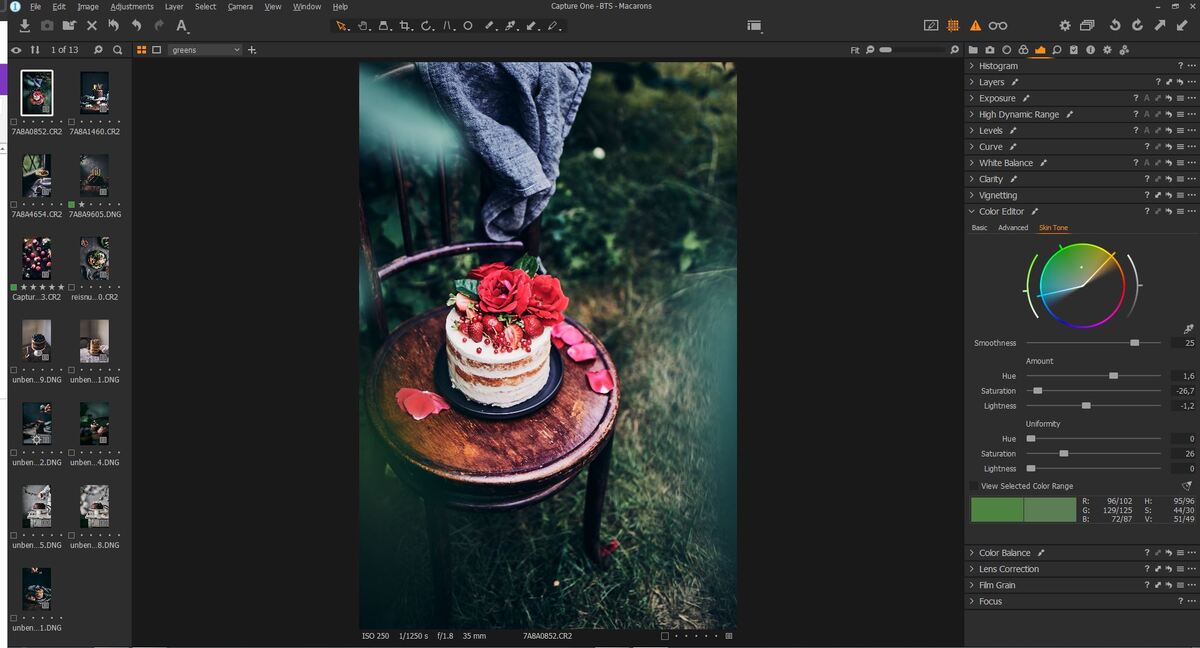 Capture One | Luminar Neo Blog