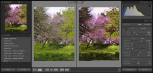 Adobe Lightroom | Luminarneo Blog