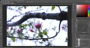 Adobe Photoshop | Luminarneo Blog