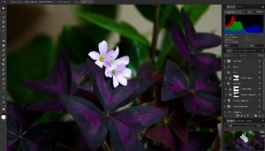 Affinity Photo | Luminarneo Blog