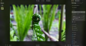 Die 10 Besten Bildbearbeitungsprogramme 2026 | Luminar Neo Blog (2)