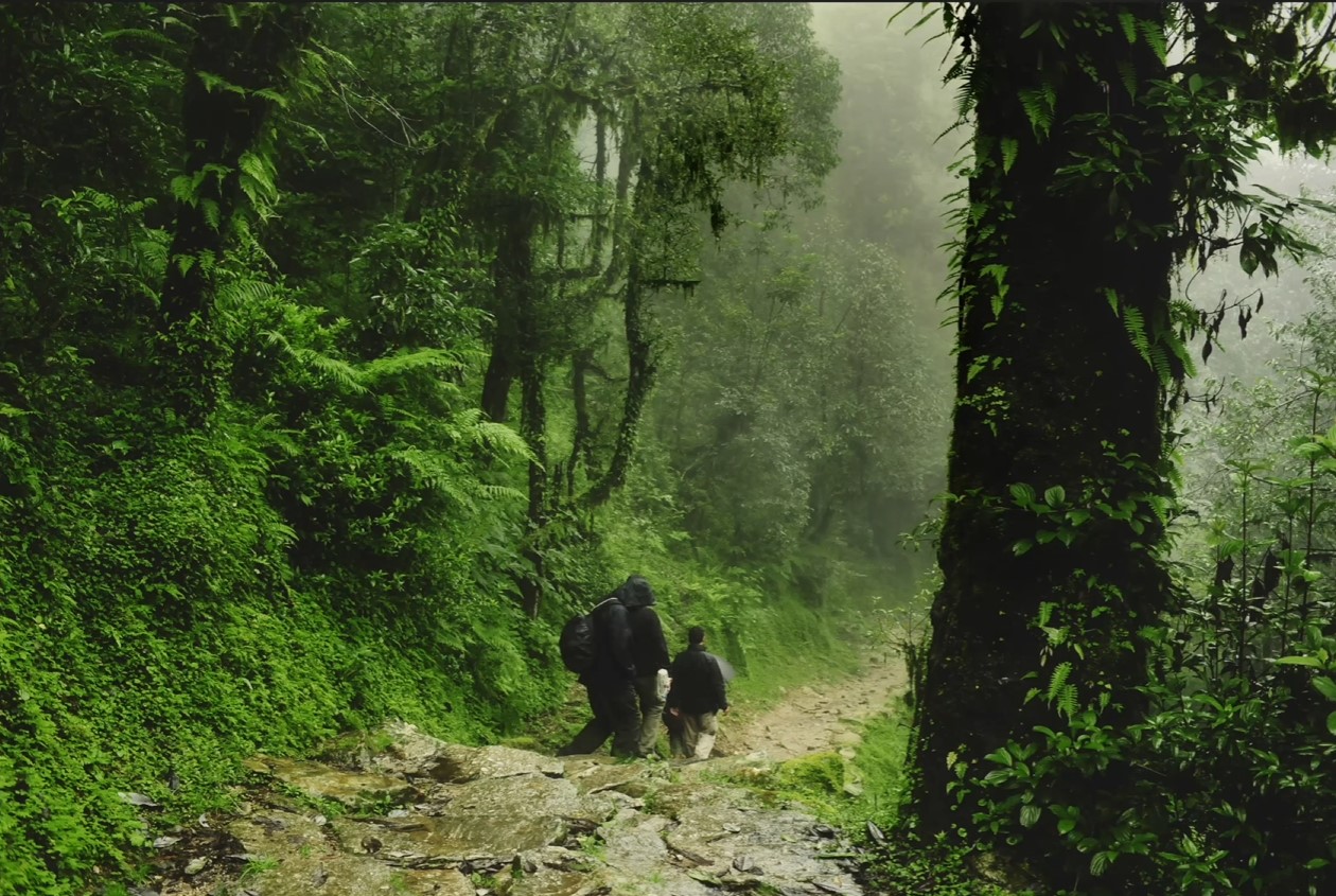 Screenshot mit kreativen Bearbeitungsoptionen | LuminarNeo.de