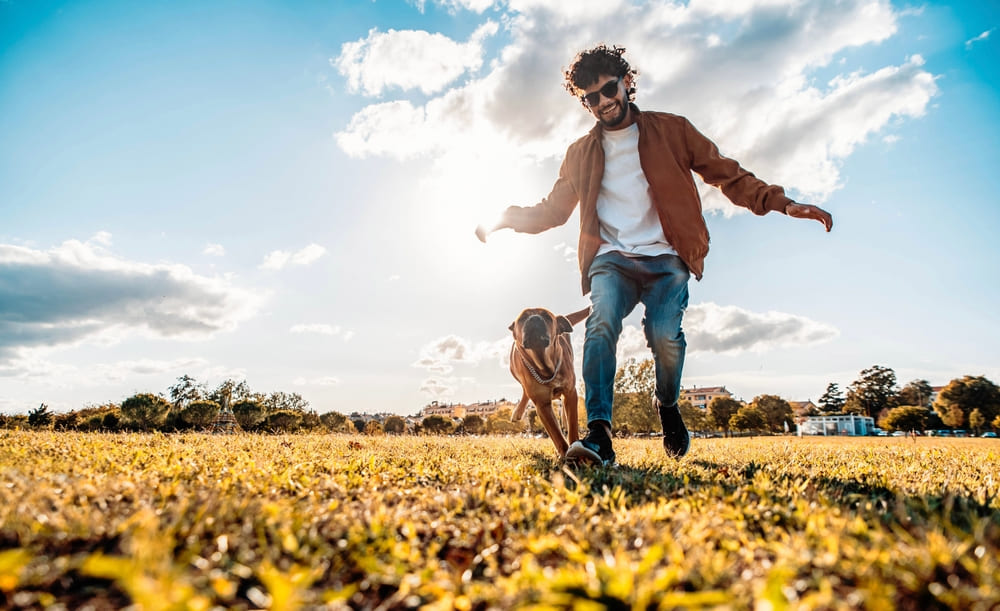 Drittelregel Fotografie: Bessere Bildkomposition Leicht Gemacht | Luminar Neo Blog (8)