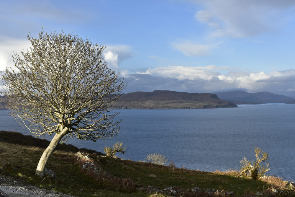Komposition Fotografie: Elementare Bausteine Für Starke Bilder | Luminar Neo Blog (7)