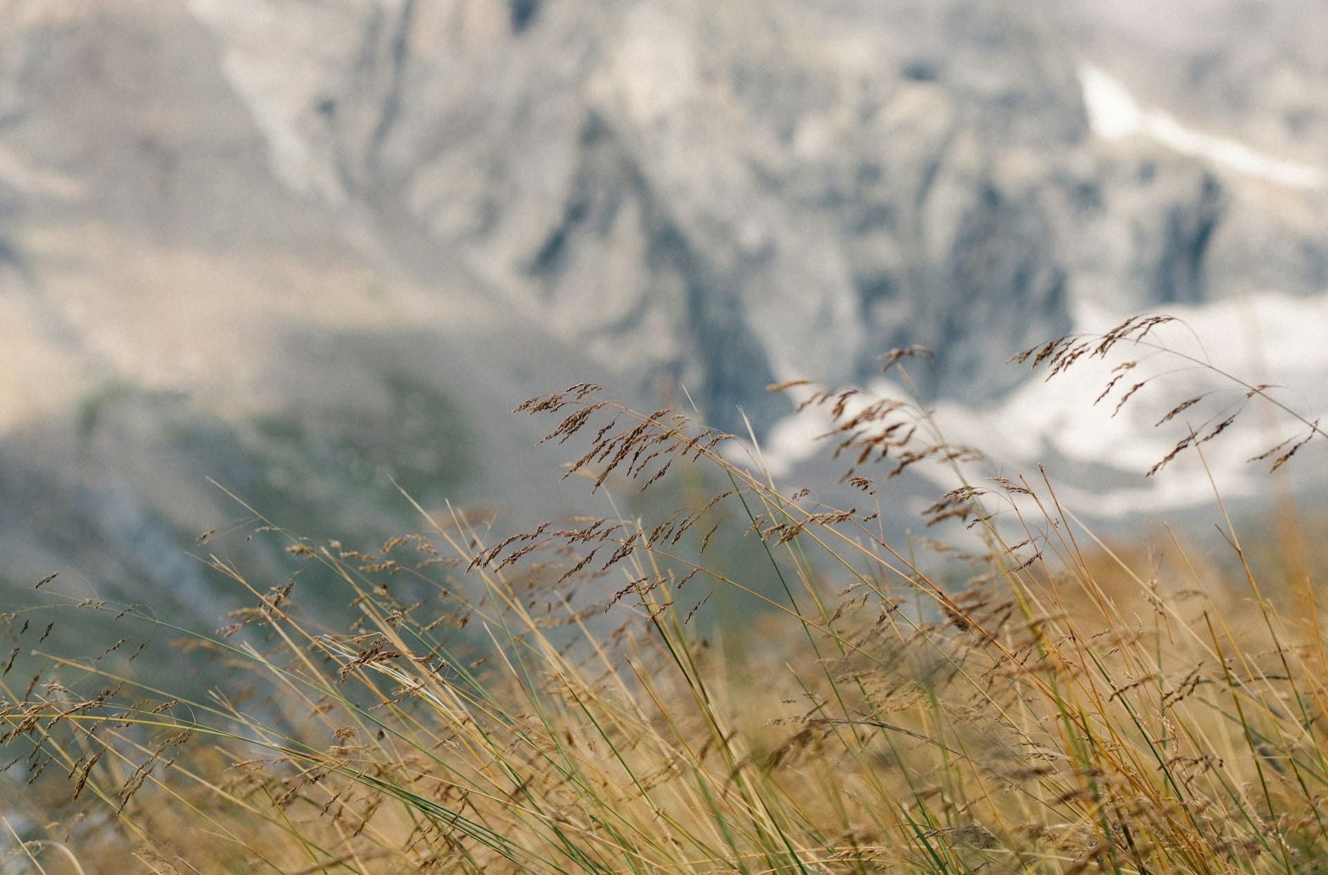 Wie Fotografiere Ich Richtig: Leitfaden Für Einsteiger | Luminar Neo Blog (1)