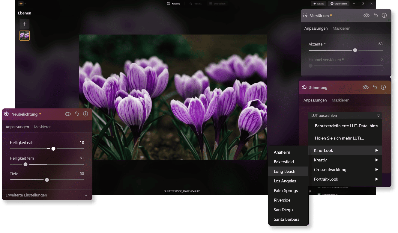 Blumen Fotografieren: So Gelingen Ihnen Perfekte Aufnahmen | Luminar Neo Blog (9)