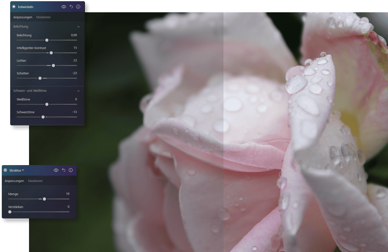 Beispiel für die Makrofotobearbeitung in Luminar Neo | Luminar Neo Blog