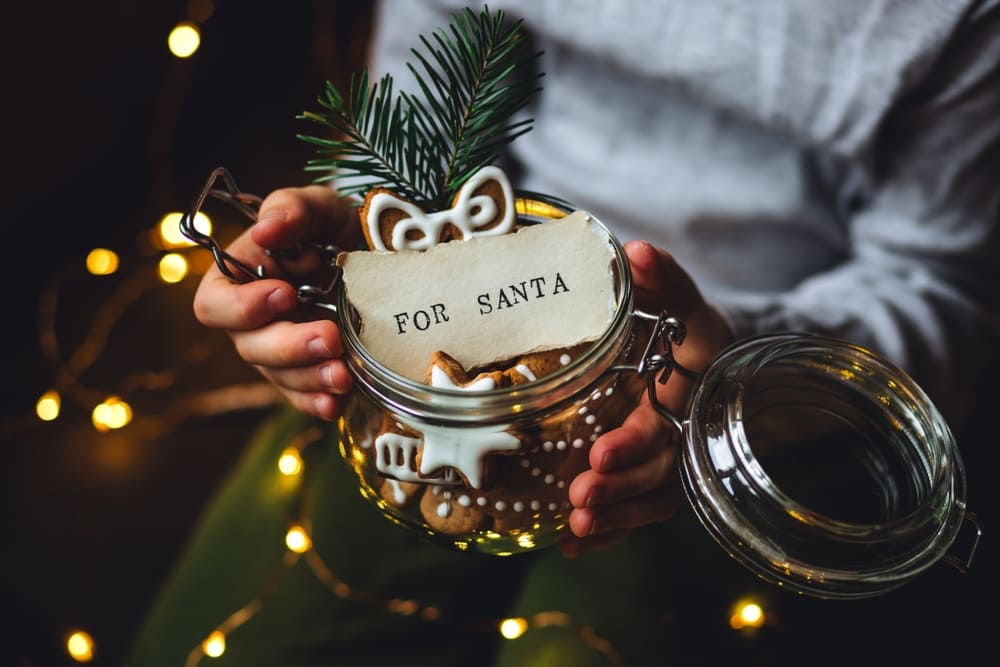 Schöne handschriftliche Beschriftung für Fotos | Luminar Neo Blog