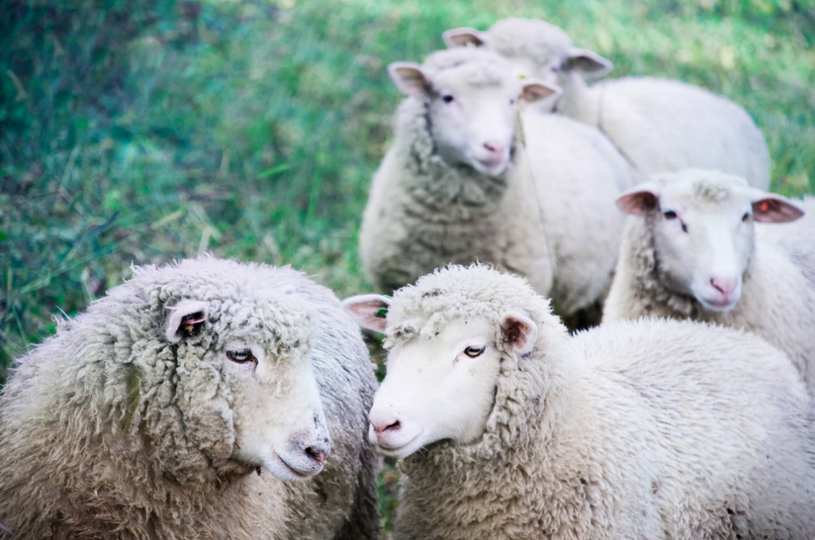 Benutzeroberfläche mit AI-Werkzeugen von LuminarNeo | LuminarNeo.de