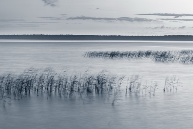 Bewegungsunschärfe: Was ist das und wie wirkt sich das den visuellen Effekt aus | Luminar Neo Blog (7)