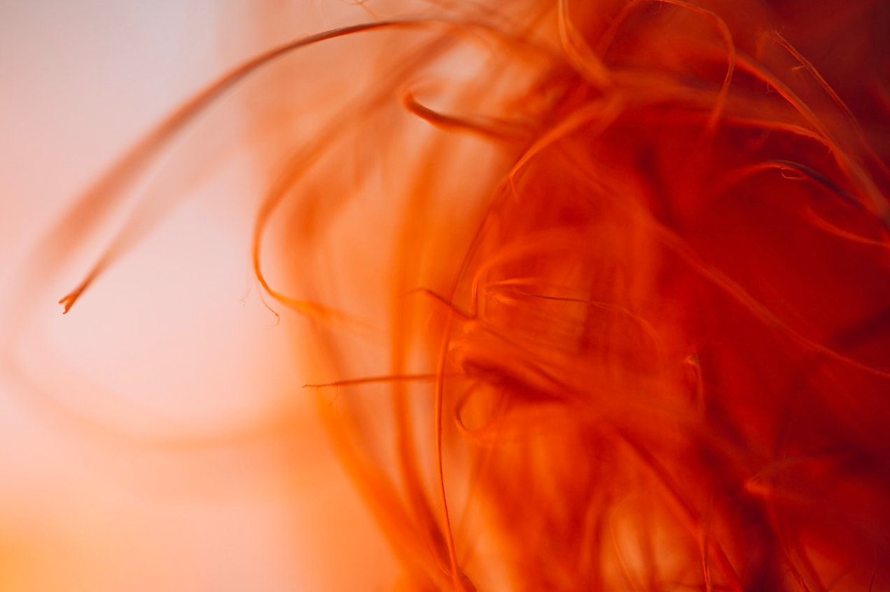 Was sind Sekundärfarben? Ein praktischer Leitfaden für Fotograf*innen | Luminar Neo Blog (3)