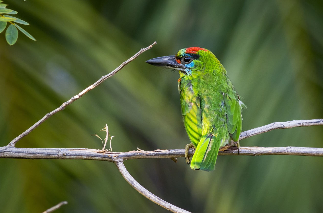 Was sind Sekundärfarben? Ein praktischer Leitfaden für Fotograf*innen | Luminar Neo Blog (4)