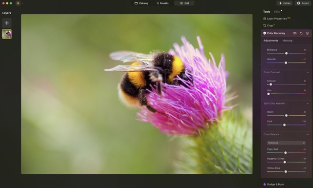 Psychologie der Farben: Die Bedeutung und die emotionale Wirkung von Farben | Luminar Neo Blog (6)