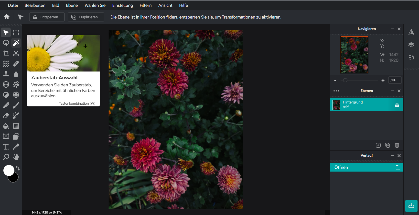 Die Kostenlosen Photoshop Alternativen 2025 | Luminar Neo Blog (8)