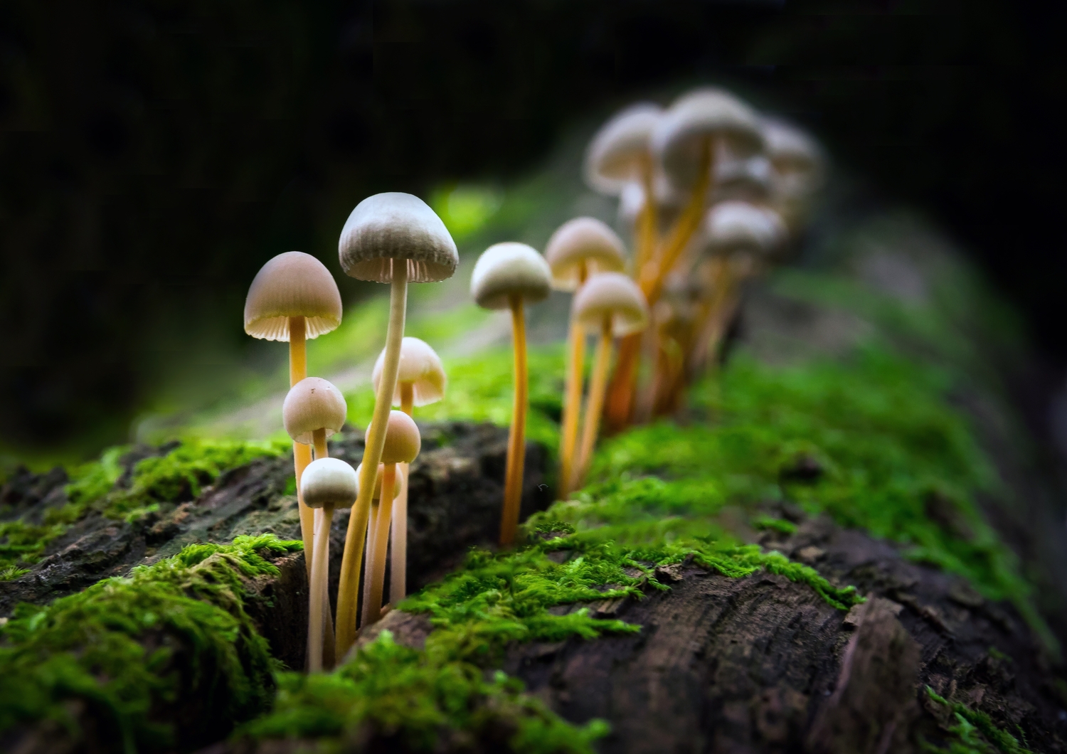 Fotografie für Einsteiger: Tipps und Techniken für bessere Fotos | Luminar Neo Blog (8)