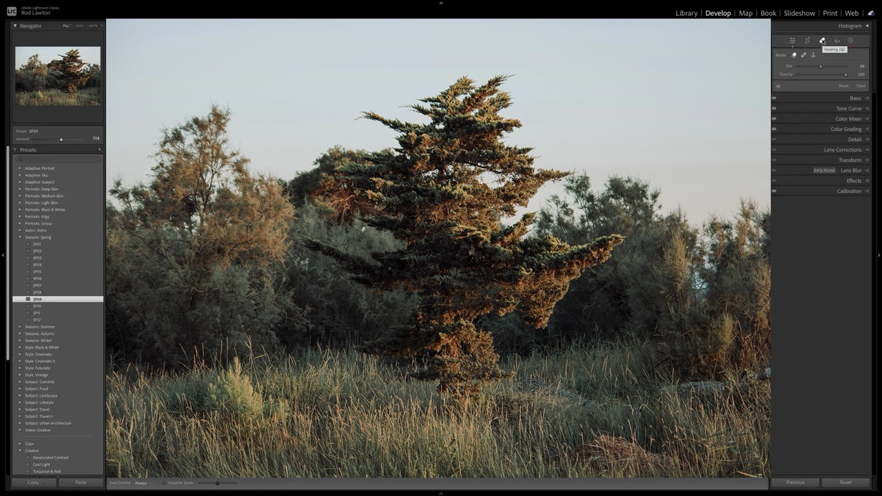 Die besten Photoshop-Alternativen 2026 | Luminar Neo Blog (11)