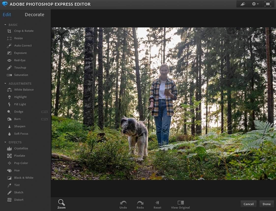Bildbearbeitungs-Apps 2026: Die Top-Empfehlungen | Luminar Neo Blog (5)
