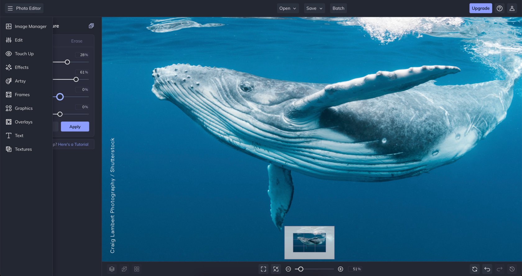 Bildbearbeitungsprogramm Kostenlos: 10 Kostenloses Fotoprogramm | Luminar Neo Blog (15)