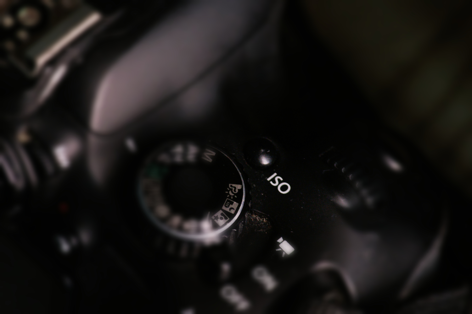 Fotografie für Einsteiger: Tipps und Techniken für bessere Fotos | Luminar Neo Blog (3)