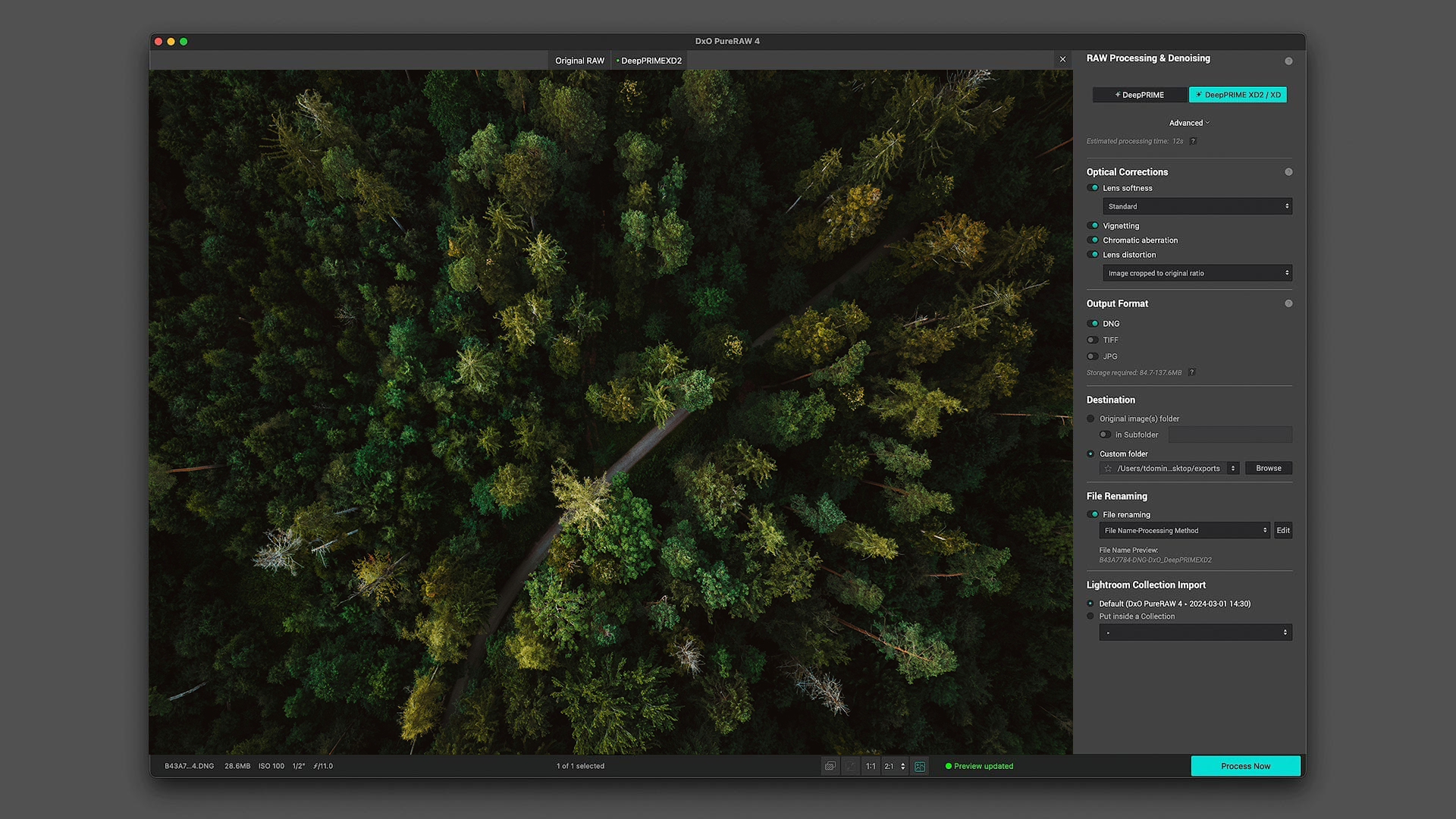 Bildrauschen entfernen mit AI: Anleitung zum Entrauschen von Fotos | Luminar Neo Blog (8)