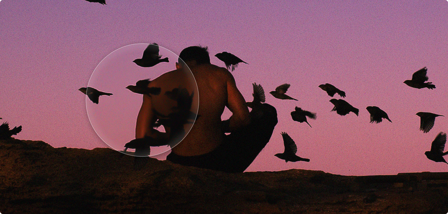 Bildrauschen entfernen mit AI: Anleitung zum Entrauschen von Fotos | Luminar Neo Blog (2)