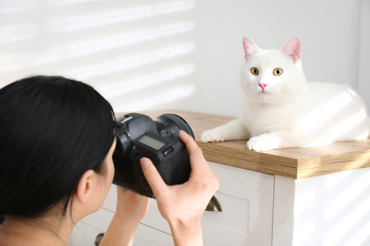 Foto Ideen: Kreative Bilder Ideen für Fotoshooting 2025 | Luminar Neo Blog (6)