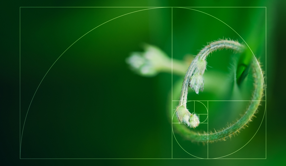 Der Goldene Schnitt in der Fotografie | Luminar Neo Blog (4)