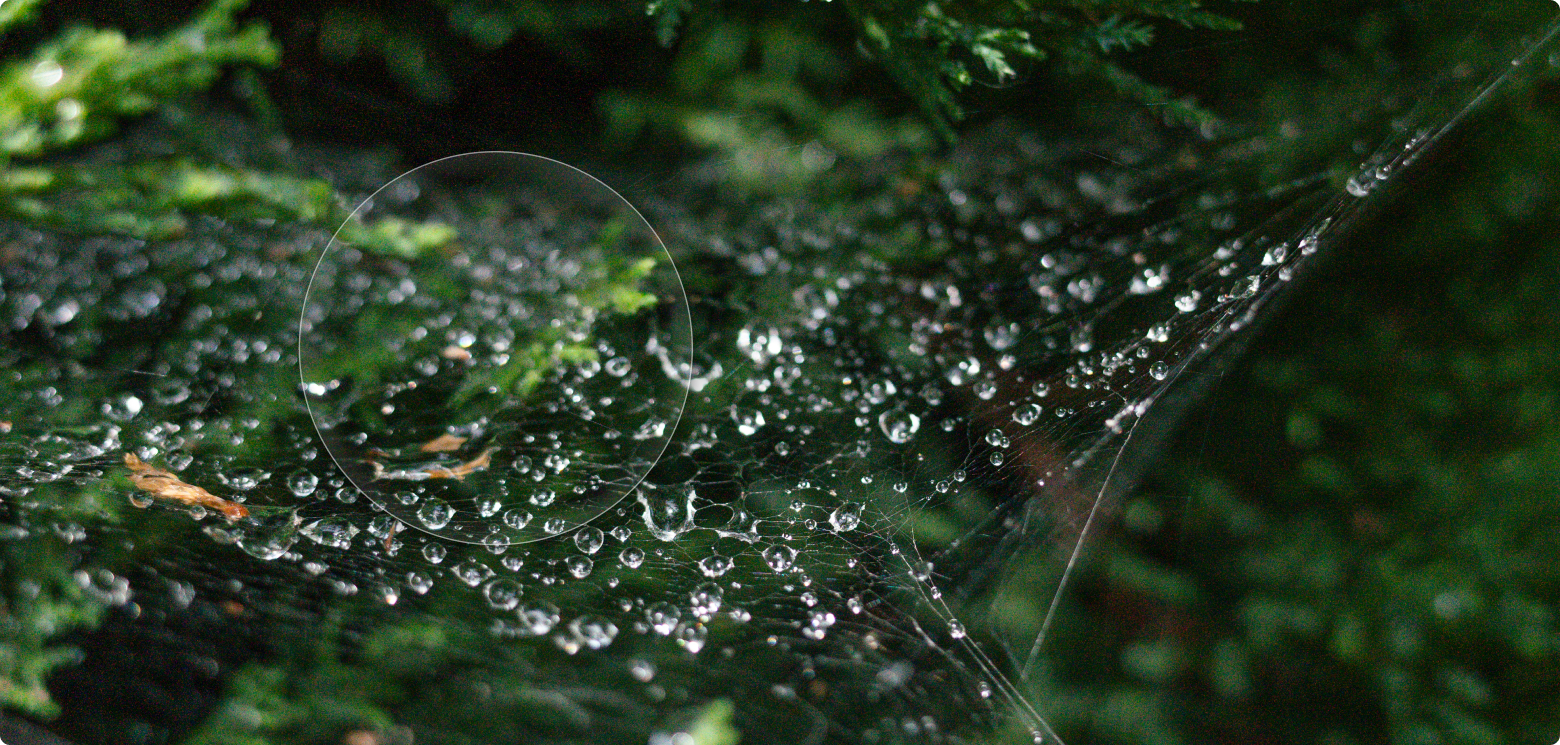 Bildrauschen entfernen mit AI: Anleitung zum Entrauschen von Fotos | Luminar Neo Blog (4)