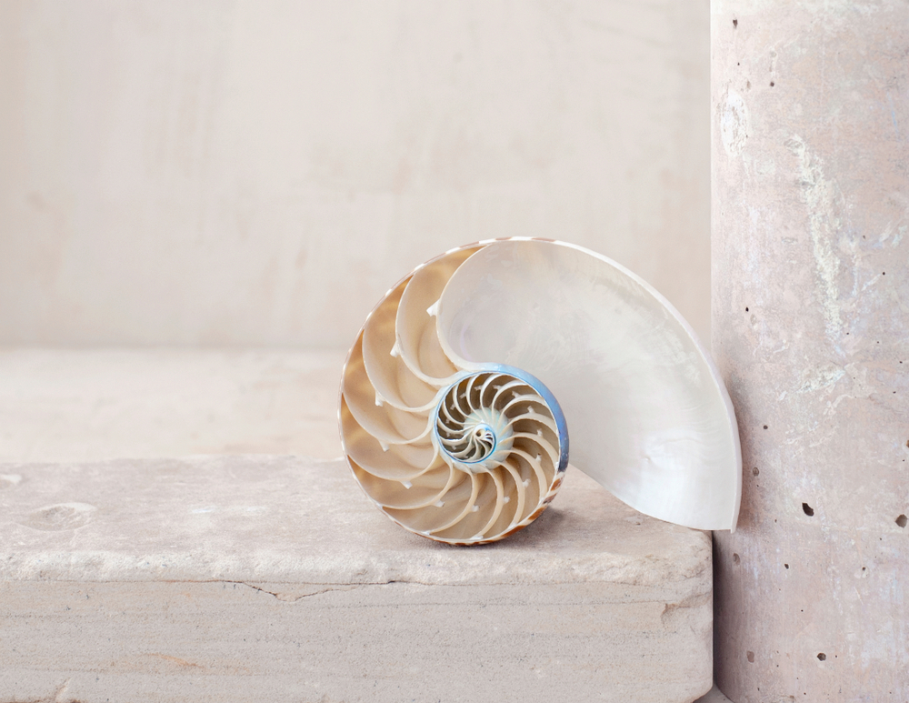 Der Goldene Schnitt in der Fotografie | Luminar Neo Blog (1)