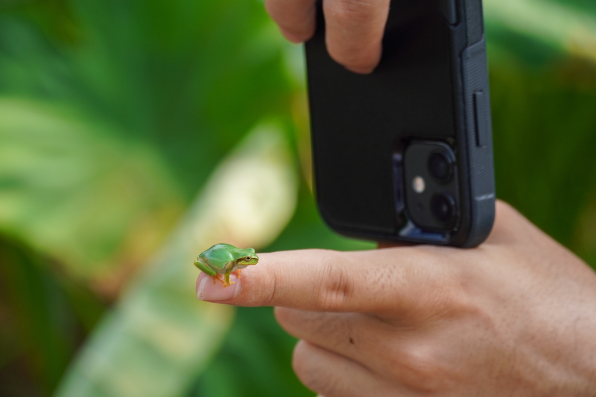 Makrofotografie: Tipps für Makro Foto und Nahaufnahmen | Luminar Neo Blog (1)