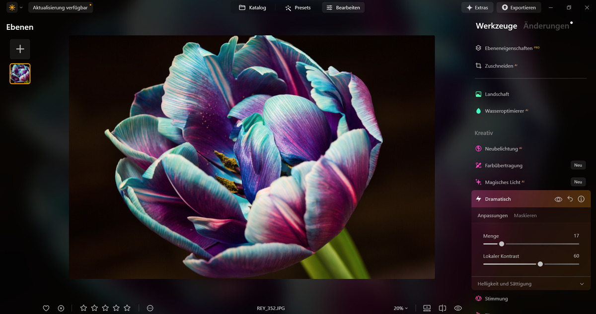 Makrofotografie: Tipps für Makro Foto und Nahaufnahmen | Luminar Neo Blog (12)