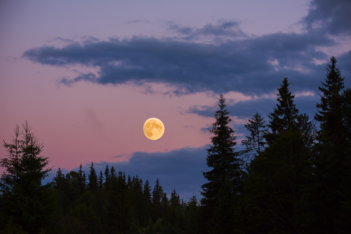 Mond fotografieren – Dein Guide für beeindruckende Mondaufnahmen | Luminar Neo Blog (1)