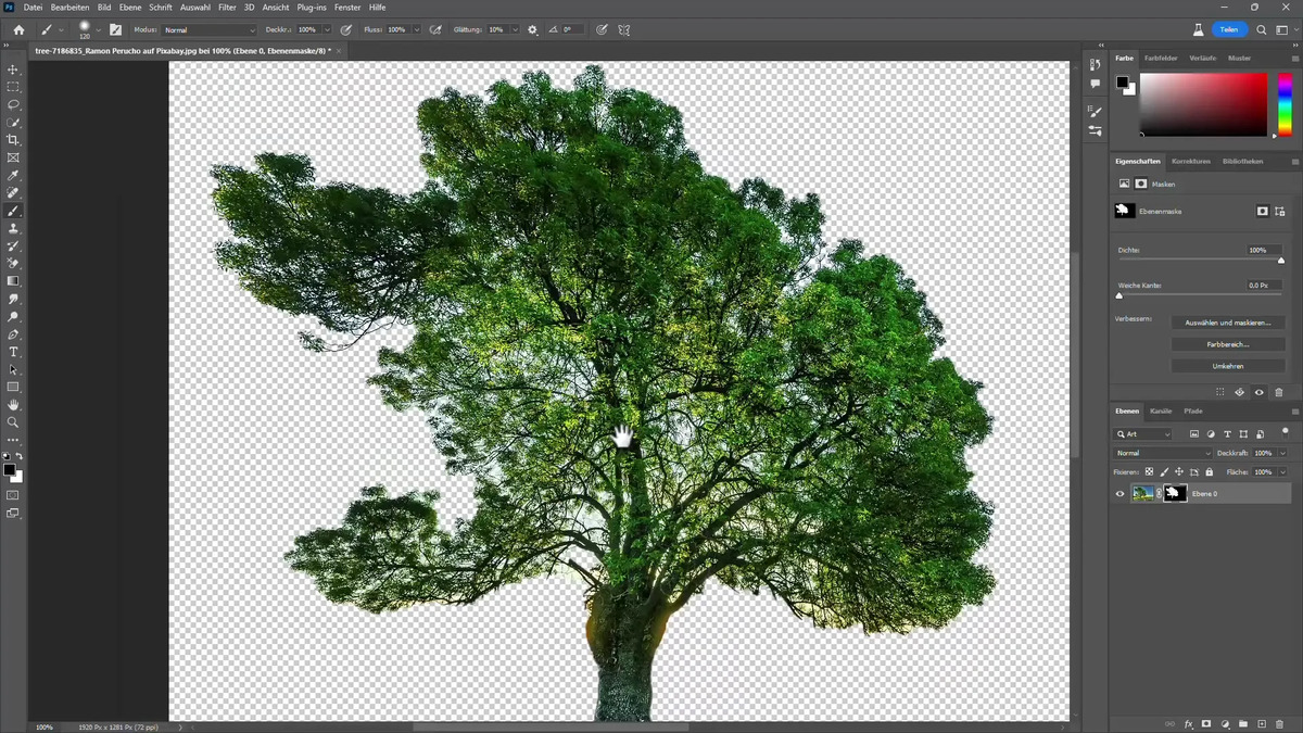 Photoshop: Farben ersetzen und ändern | Luminar Neo Blog (7)