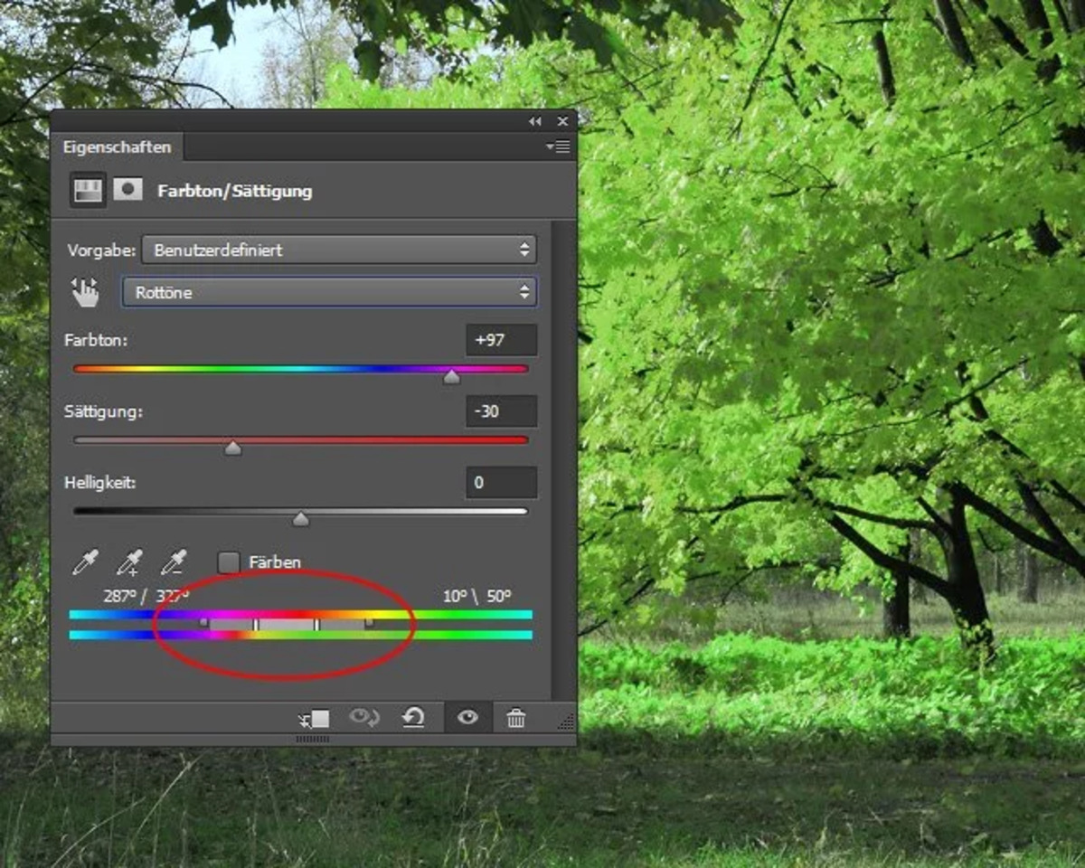 Photoshop: Farben ersetzen und ändern | Luminar Neo Blog (6)