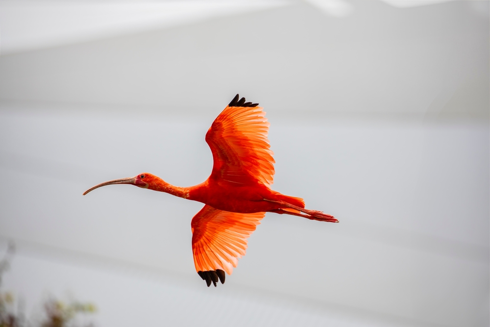 Verschlusszeit bei der Kamera: Grundlagen und Anwendungstipps | Luminar Neo Blog (4)