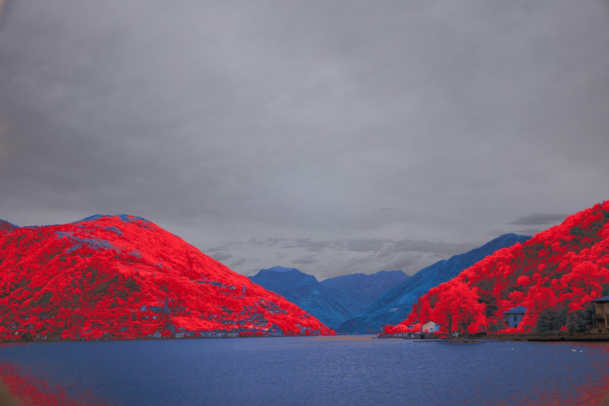 Photoshop: Farben ersetzen und ändern | Luminar Neo Blog (1)