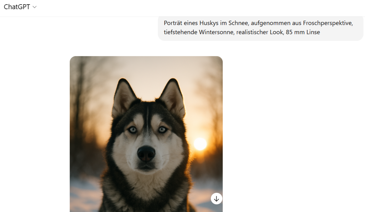 Husky-Porträt im Schnee, tiefstehende Wintersonne, realistisches Aussehen im GPT-Chat | Luminar Neo Blog 

