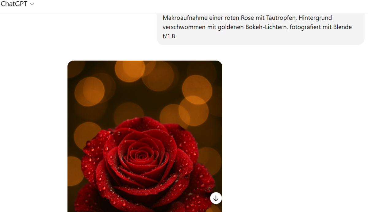 Makrofotografie einer roten Rose mit Tautropfen, Hintergrund ist unscharf im GPT-Chat | Luminar Neo Blog 

