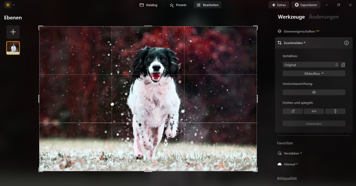 Foto in Luminar Neo zuschneiden | Luminar Neo Blog