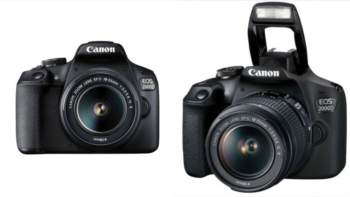 Canon EOS 2000D Kamera | Luminar Neo Blog

