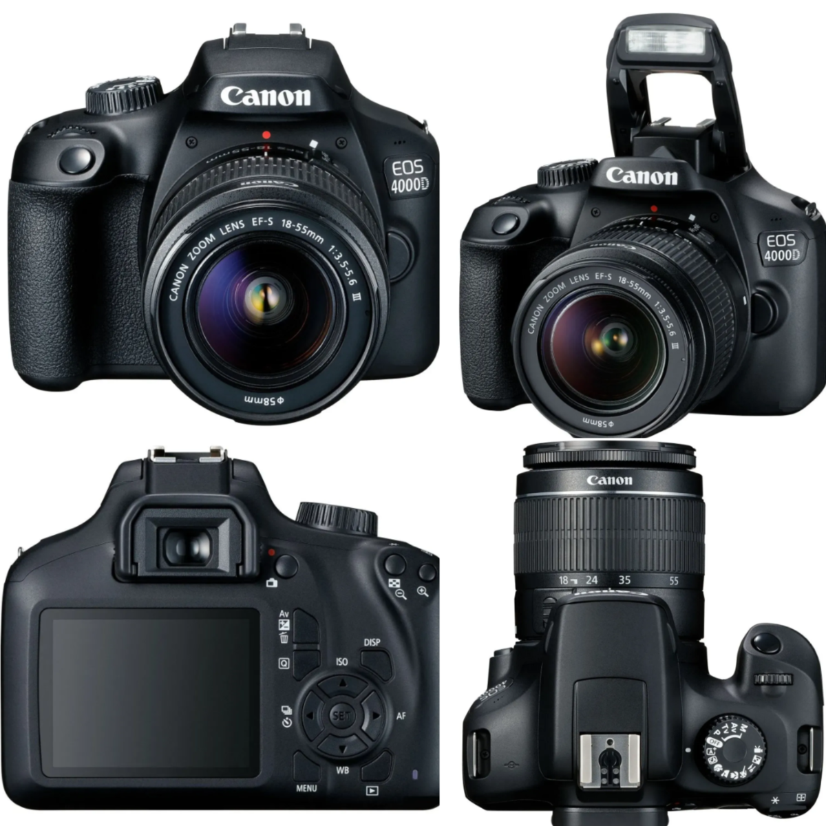 Canon EOS 4000D camera | Luminar Neo Blog 