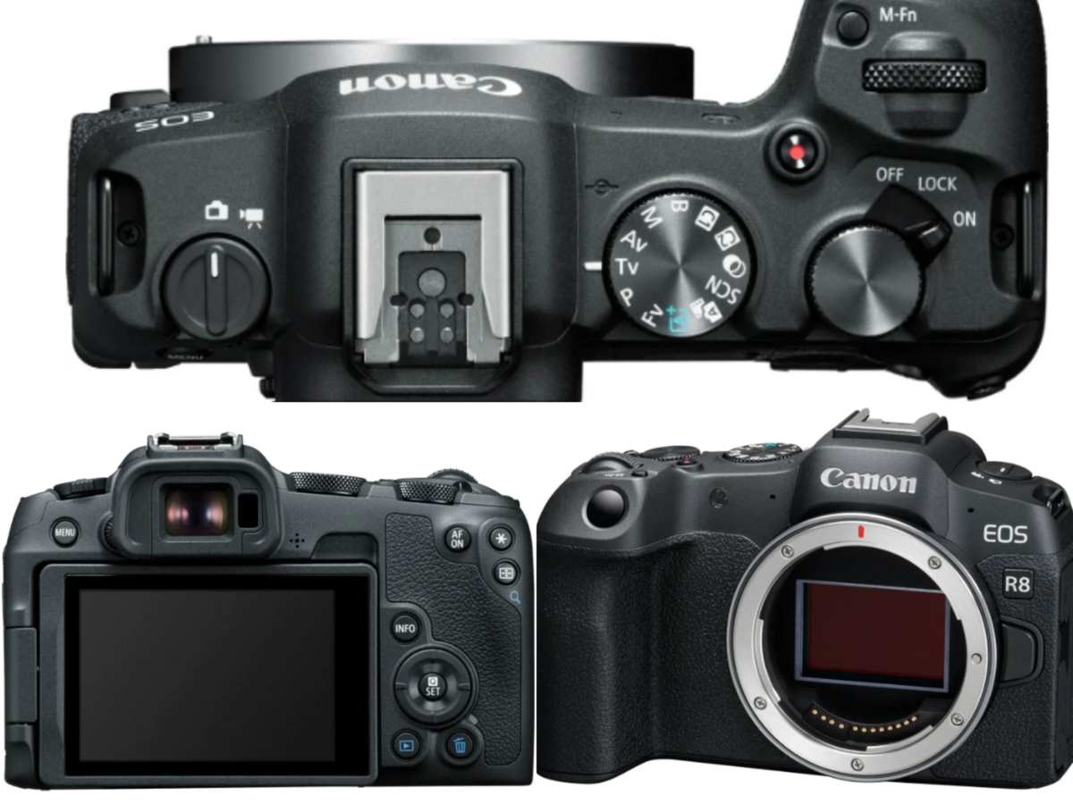 Canon EOS R8 camera | Luminar Neo Blog