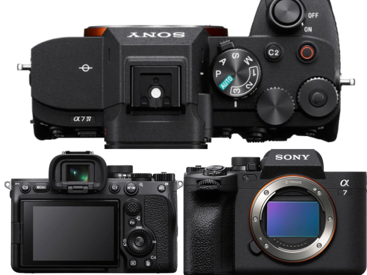 Sony Alpha 7 IV camera | Luminar Neo Blog