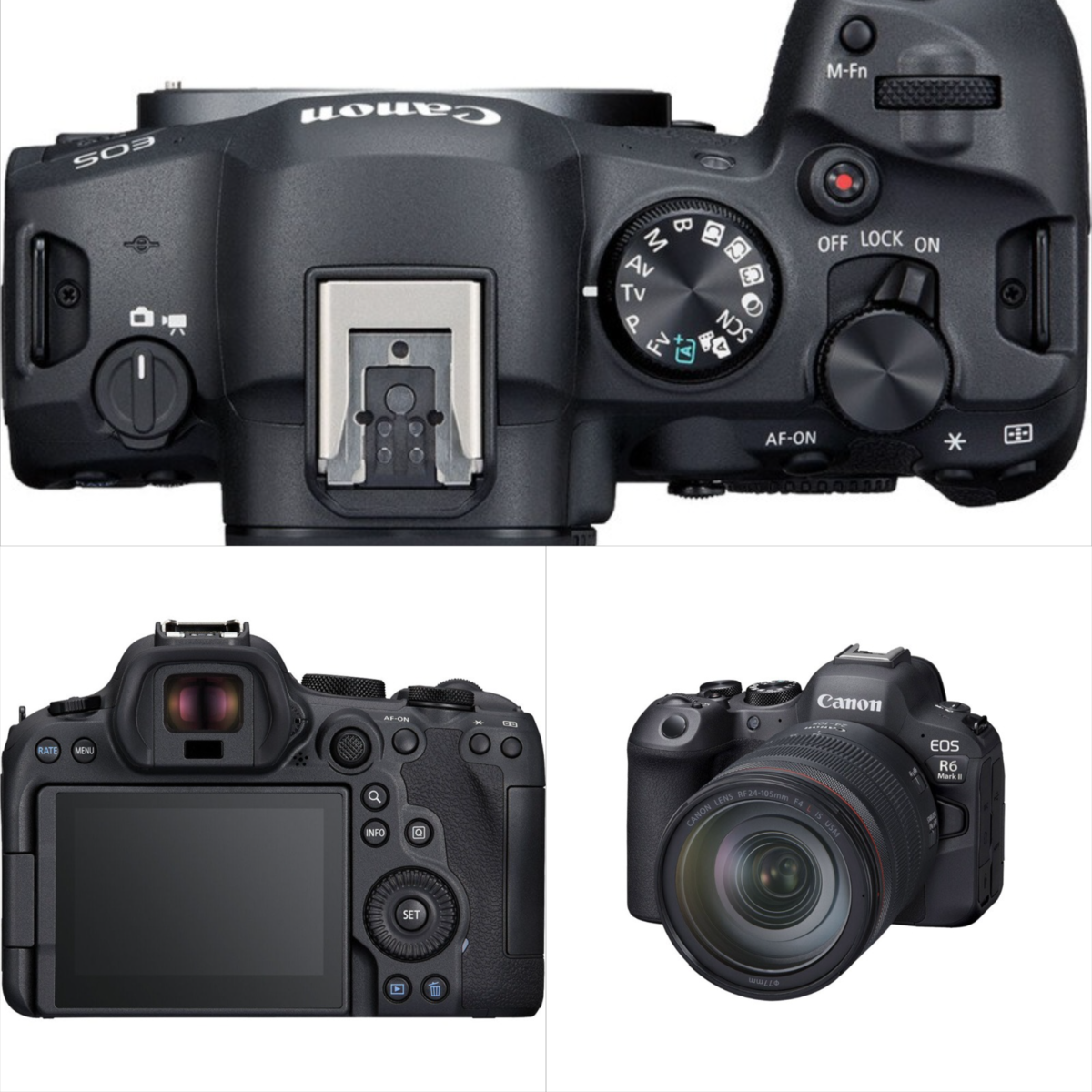 Canon EOS R6 Mark II camera | Luminar Neo Blog 