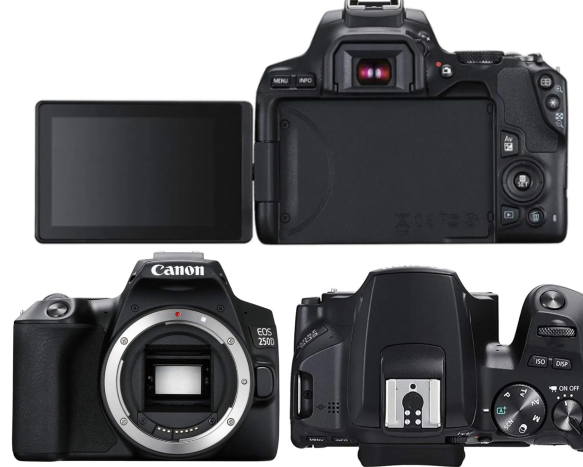 Canon EOS 250D camera | Luminar Neo Blog