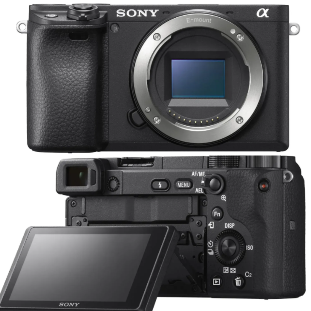 Sony Alpha 6400 camera | Luminar Neo Blog 