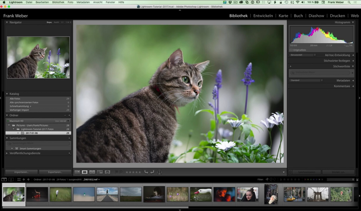 Bibliothek & Bildorganisation Lightroom | Luminar Neo Blog 