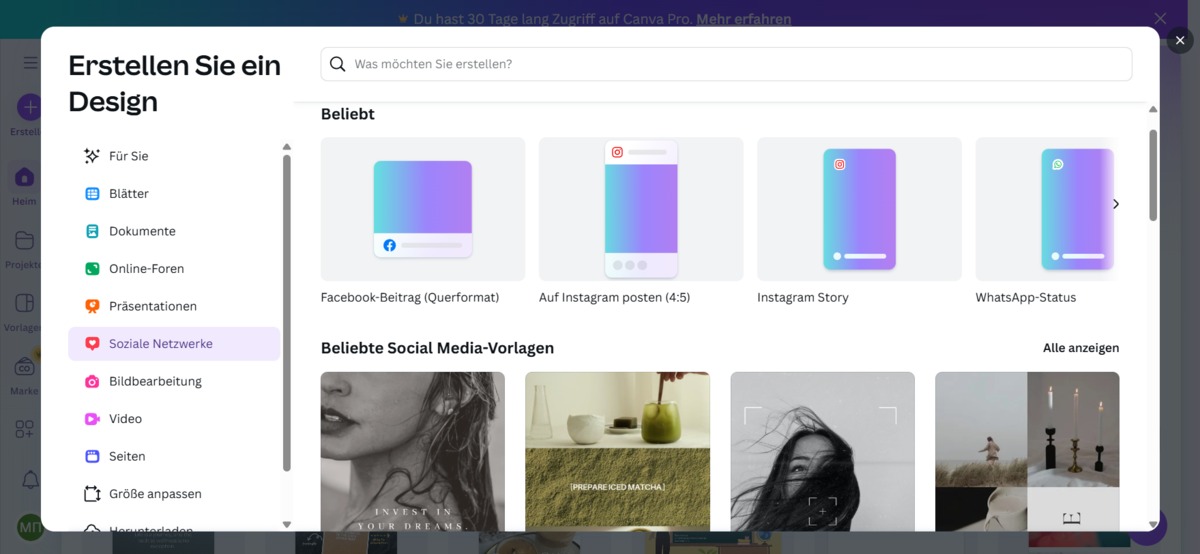 Ausführungen Canva | Luminar Neo Blog 