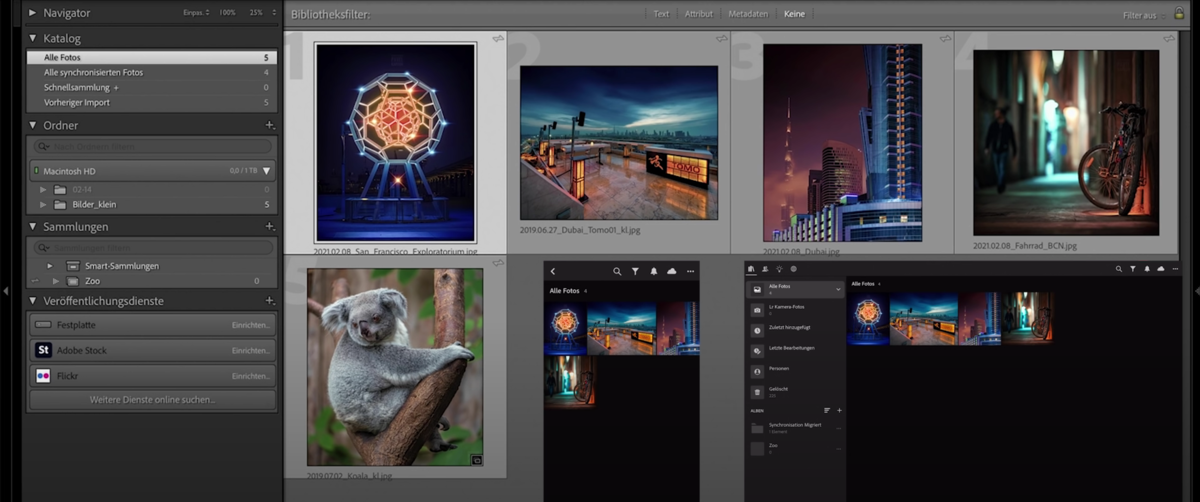 Cloud-Synchronisation & Mobilität Lightroom | Luminar Neo Blog 