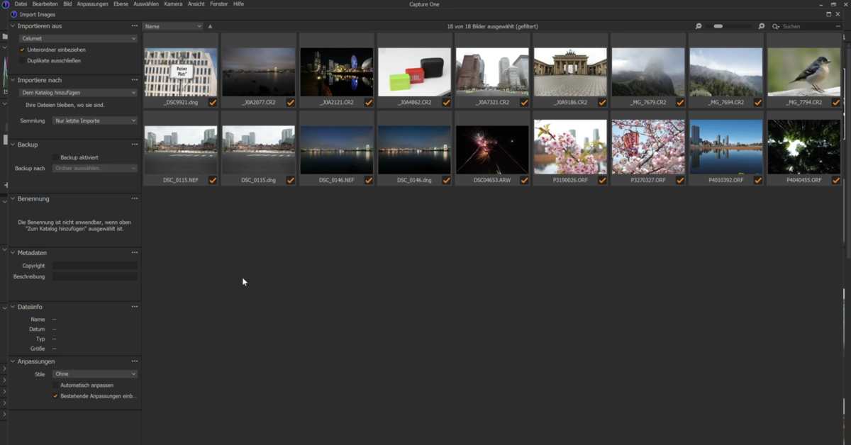 Geschwindigkeit bei großen RAW-Dateien in Capture One | Luminar Neo Blog 